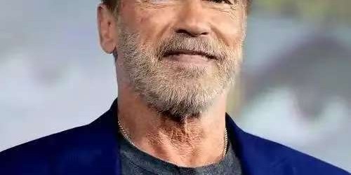 星空体育在线入口-1996年， 施瓦辛格在家中无事，和35岁200斤女佣发生不当关系